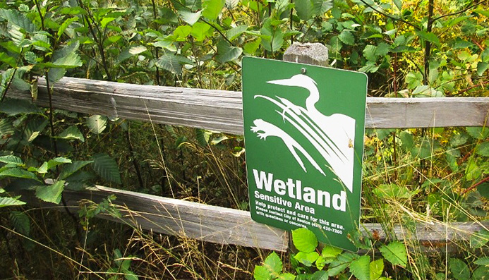 Wetland sign - wetland science banner image